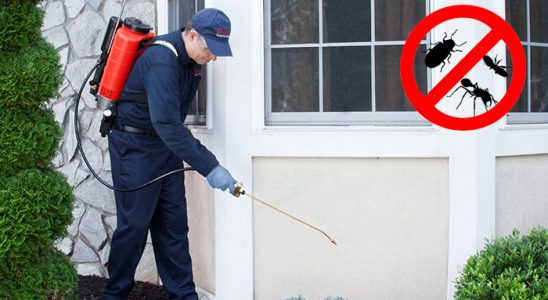 Yayladağı Dezenfeksiyon böcek ilaçlama ve haşere kontrolü — ilaclama-tr.com